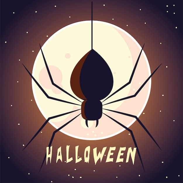 Halloween card with full moon and spider illustration design