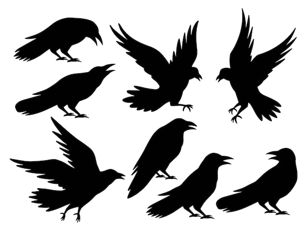 Halloween crow silhouette illustration