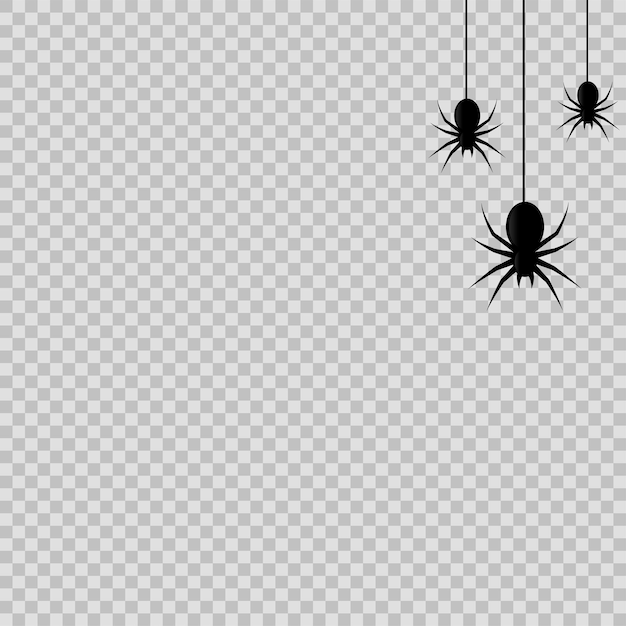 Vector halloween decoration with hanging spiders on transparent background. vector