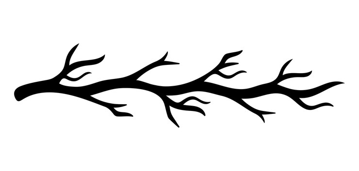 Halloween doodle decoratieve lijn frame geïsoleerd. Hand getekend vector spookachtig element van bomen