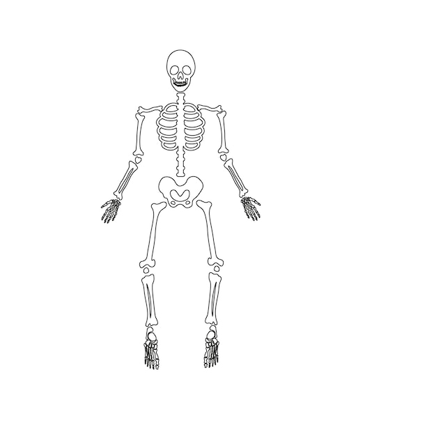 Halloween eng botten skelet