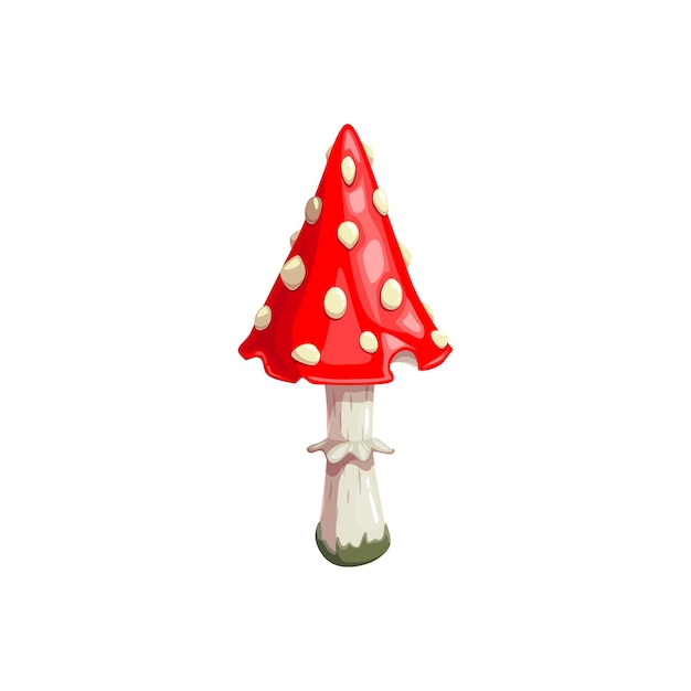 할로윈 비행 agaric 버섯 또는 마니타 식물