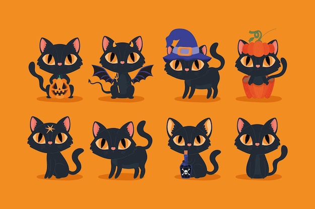 Halloween katten bundel