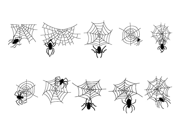 Хэллоуин монохромная паутина и пауки на белом фоне векторная иллюстрация