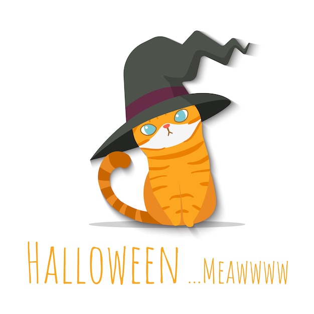 할로윈 주황색 고양이 마녀 모자를 쓰고 의상을 입고.