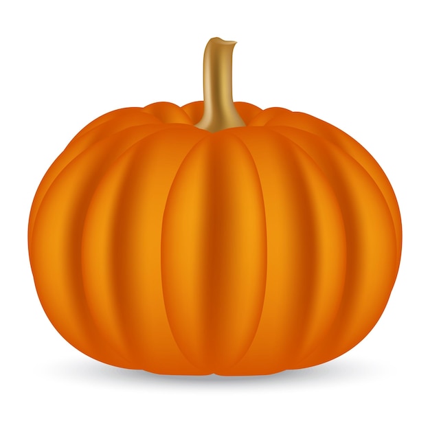 Halloween pumpkin on a white background Vector illustration