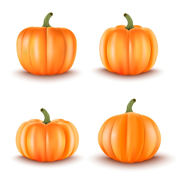 Vector halloween pumpkin