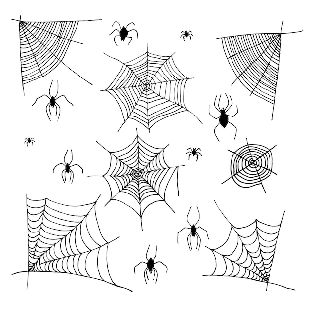Ragnatela e ragni della siluetta di halloween