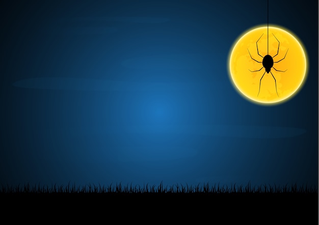 Halloween spider moon