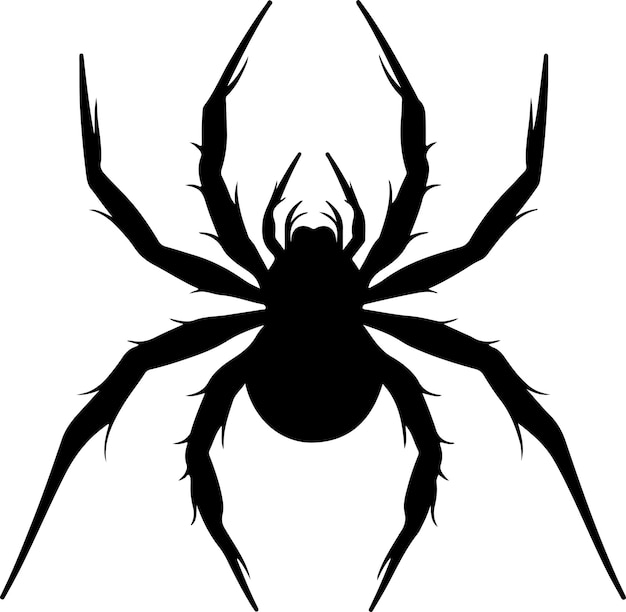 halloween spider silhouette vector illustration white background