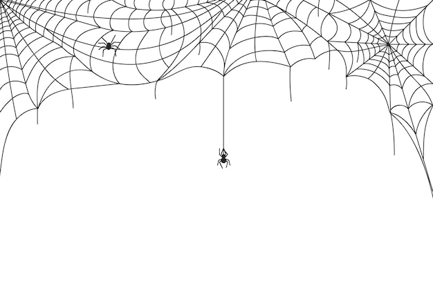 할로윈 거미줄 테두리, 거미줄이 달린 으스스한 거미줄. 무서운 웹 프레임 장식, 거미줄 실루엣 벡터 배경. 휴가를 위한 유독한 공포 생물 또는 곤충