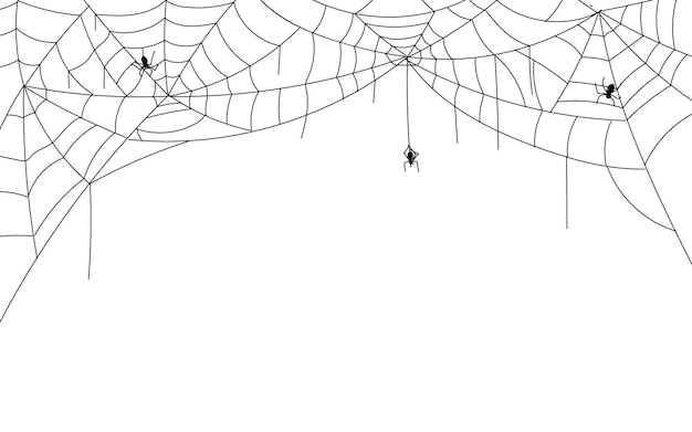 Halloween spider web border spooky cobwebs with hanging spiders