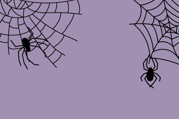 Halloween spider web and spiders on color background Vector illustration