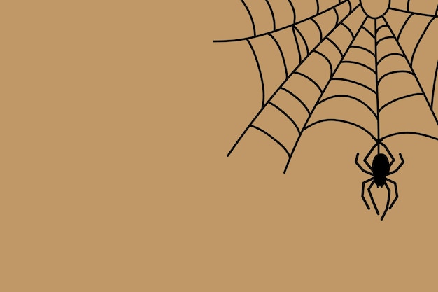 Halloween spider web and spiders on color background Vector illustration