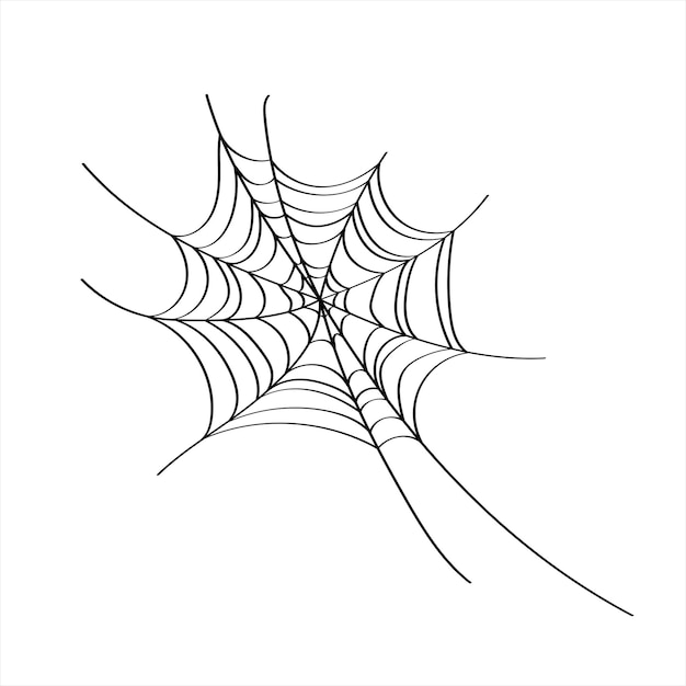 Halloween spider web vector outline illustration , isolated object on the white background