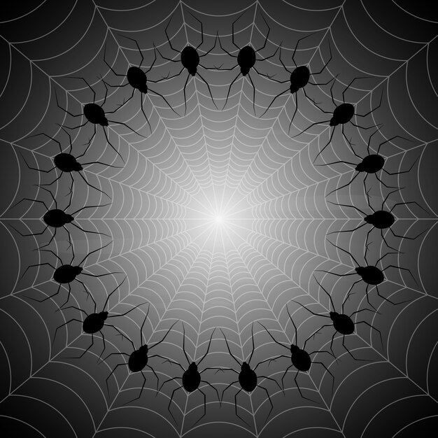 Halloween spider web vector