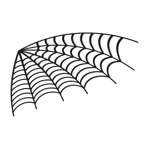 Halloween Spider Web