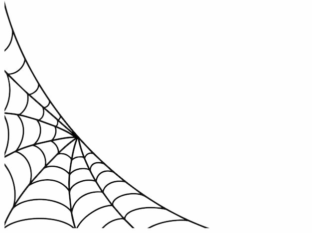 Vector halloween spider webs silhouette illustration