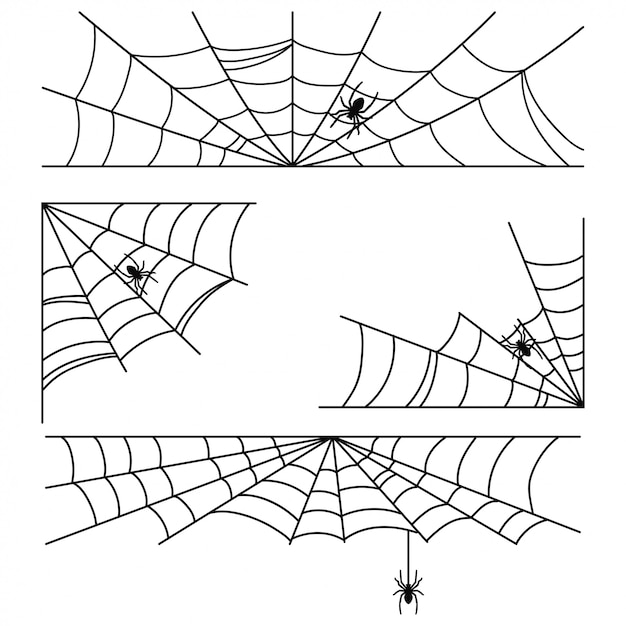 Halloween-spinneweb met spinkaders en hoeken geplaatst die op wit worden geïsoleerd.