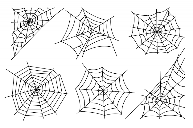 Halloween-spinneweb op witte achtergrond wordt geïsoleerd die