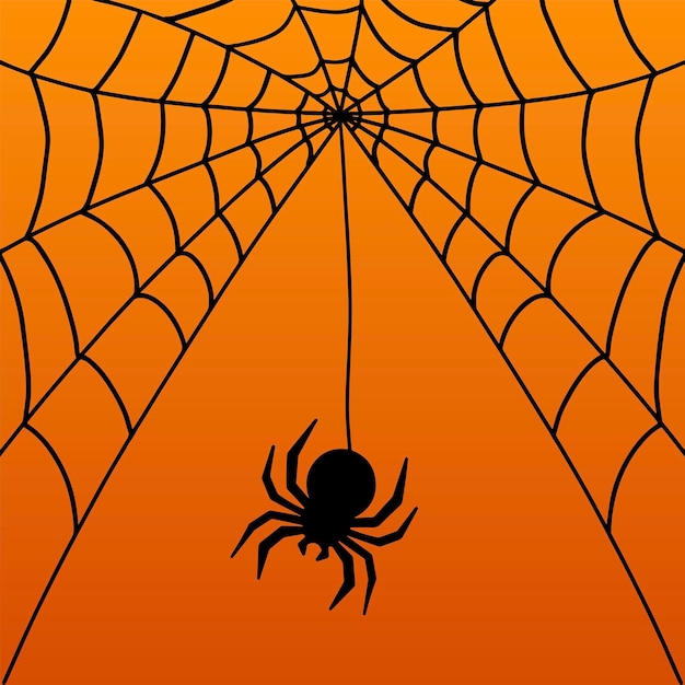 Halloween web with spider Frame background for decoration Handmade web Vector illustration