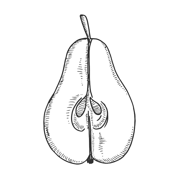 Halve peer schets vectorillustratie