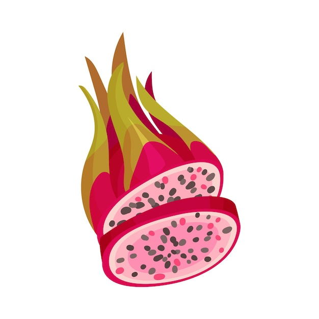 Halved pitaya or dragon fruit covered with leathery leafy skin vector illustration