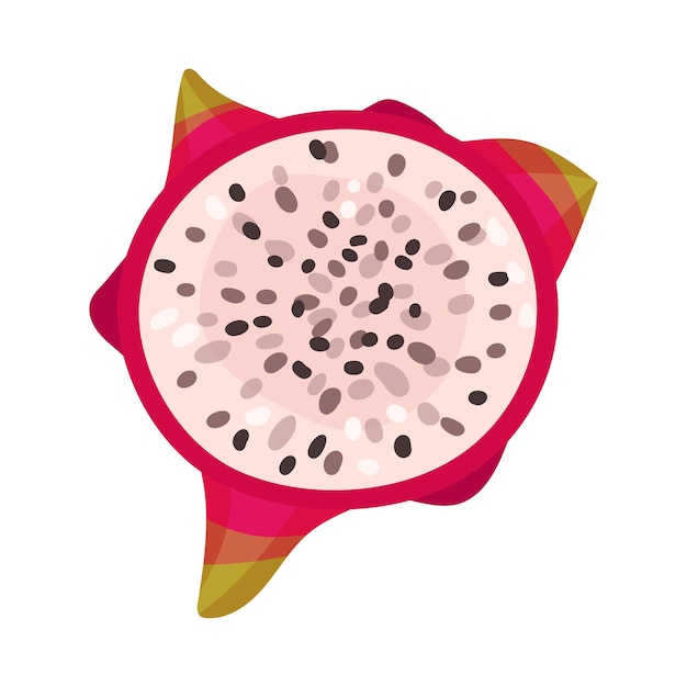 Vector halved pitaya or dragon fruit covered with leathery leafy skin vector illustration