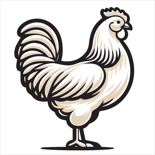 Hamburg chicken isolated illustration Vector