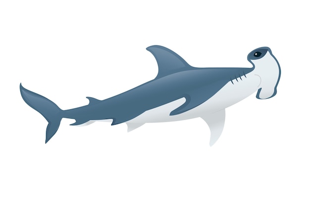 Акула-молот подводное гигантское животное простой дизайн персонажа мультфильма плоская векторная иллюстрация на белом фоне