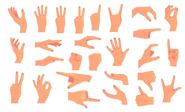 Vector hand arm finger hold ok pose sign isolated set flat graphic design illustration