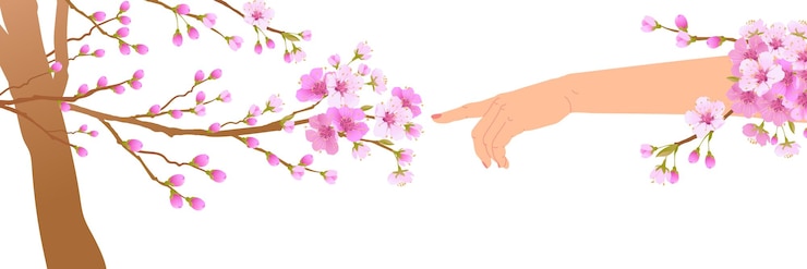 Vector hand and cherry blossom the arrival of spring
