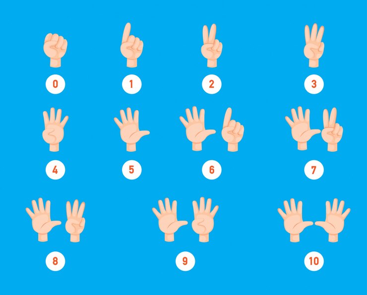 Vector hand count. finger and number