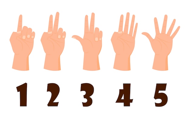 Vector hand count