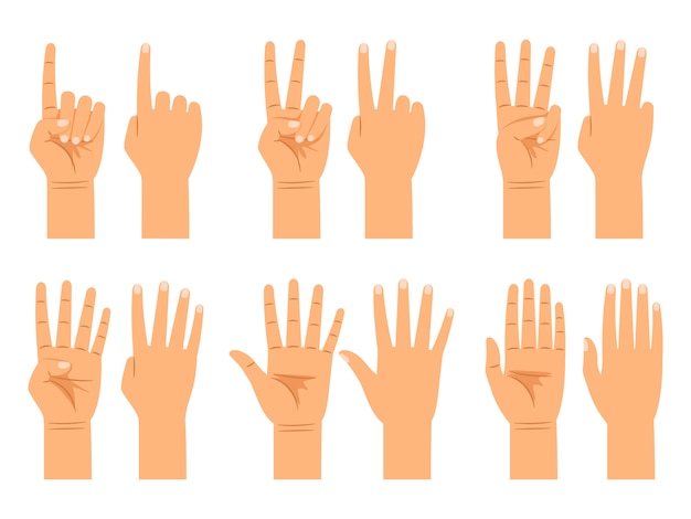 Vector hand counting isolated