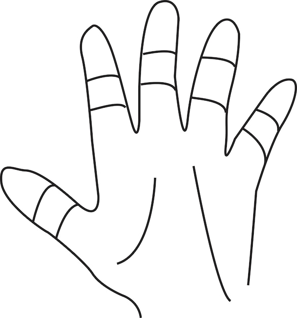 Vector hand design outline and doted
