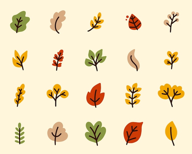 Hand draw autumn leaf collection