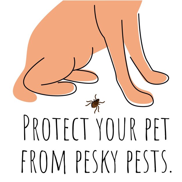 Vector hand draw banner poster for veterinary clinicprotect your pet from pesky pets pet care