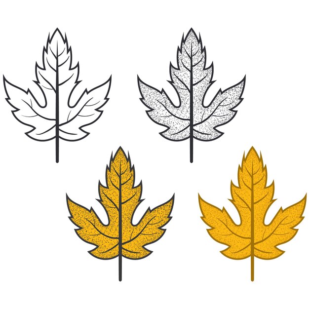 Vector hand draw colorful autumn leaves collection on white background