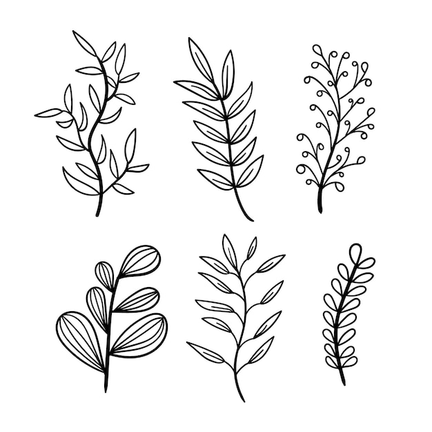 Hand draw doodle floral decoration elements vector