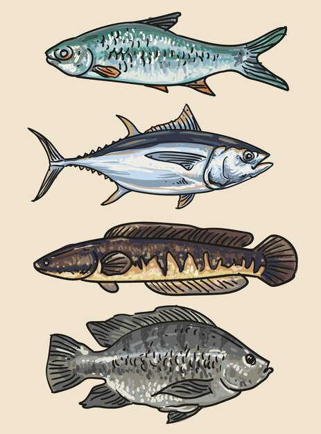 手描き魚カラー コレクション ベクトル図
