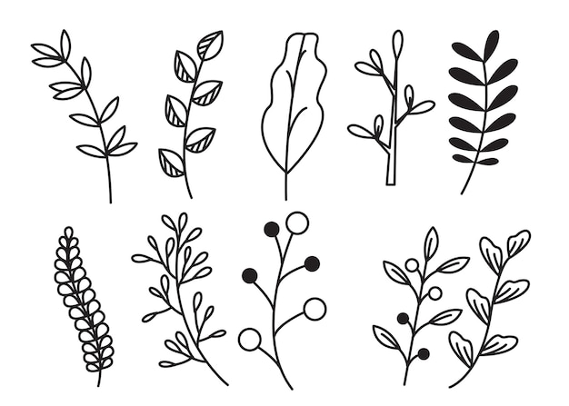 Hand draw floral decoration elements