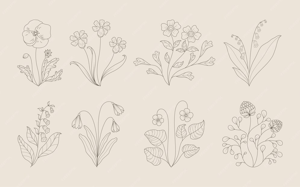 Premium Vector | Hand draw floral decoration elements