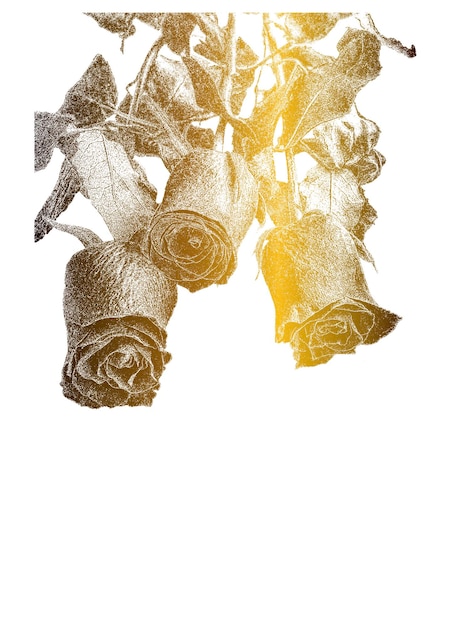 レトロなスタイルで手描きの黄金のバラの花と葉