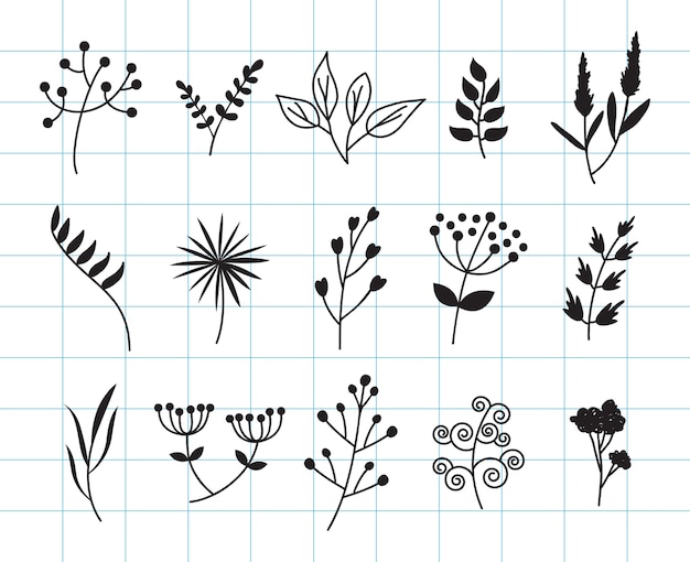Vettore foglie disegnate a mano e collezione di doodle floreale.