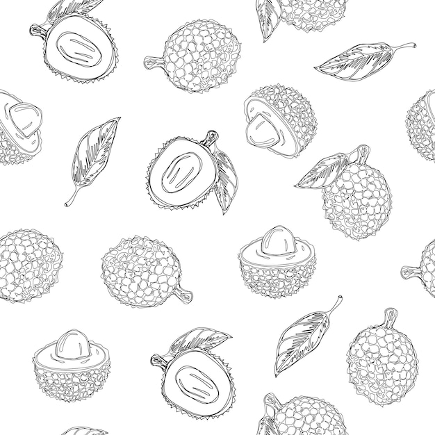 Hand draw lychee fruit graphic color seamless pattern continuous line hand drawn illustration