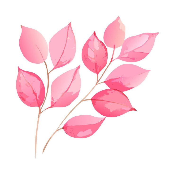Vector hand draw pink leaf vector illustration design