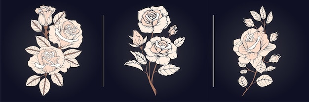 Hand draw rose collection