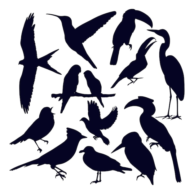 Hand draw silhouette bird collection vector illustration