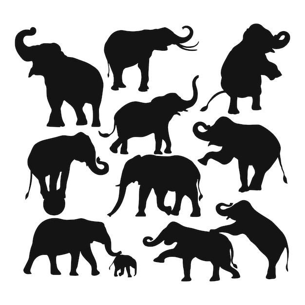 hand draw silhouette elephant vector illustration